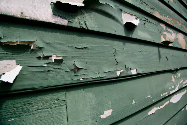 Wye, MT Junk Removal Company